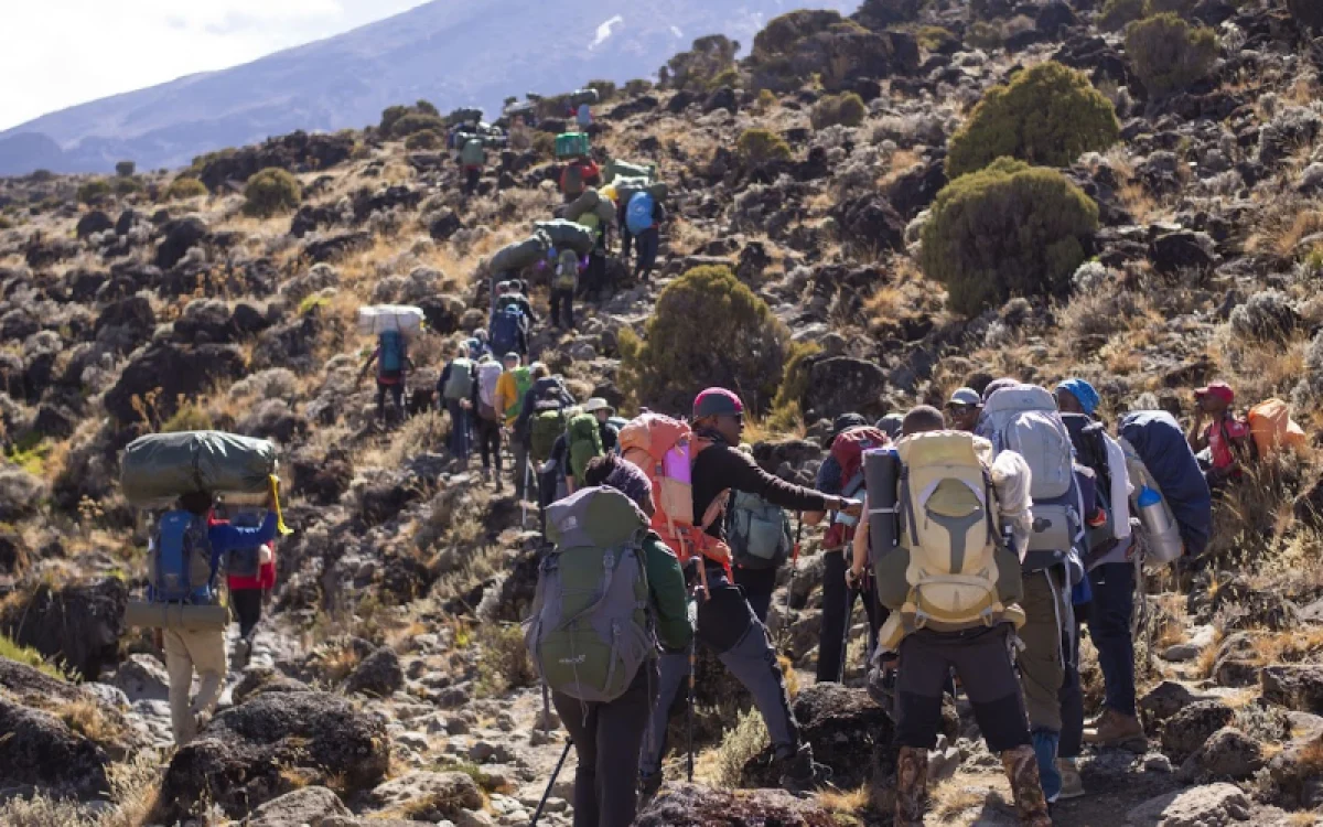 8-days-kilimanjaro-climb-lemosho-route3