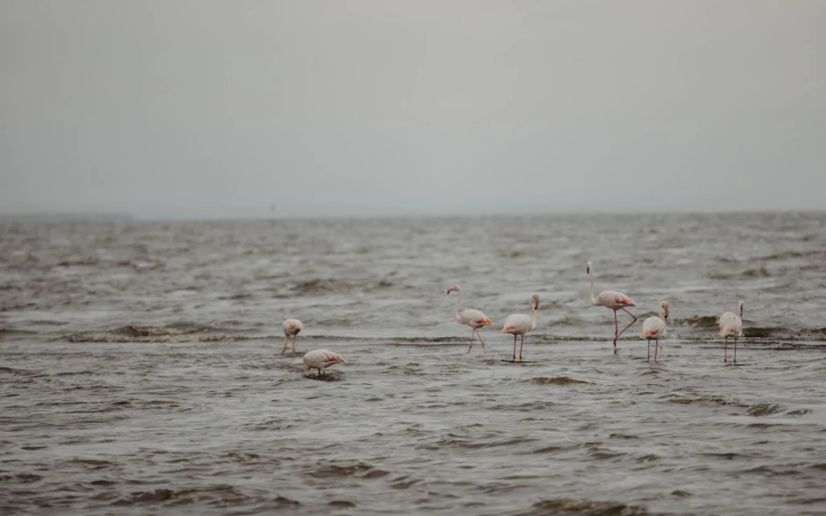 lake-manyara-national-park-banner