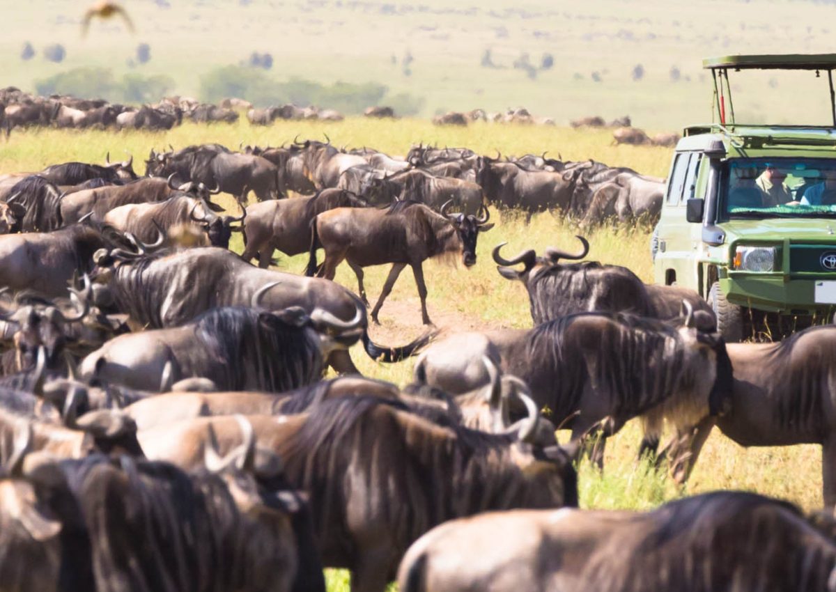 Safari To Lake Manyara, Maasai Mara National Reserve, Camping Safari