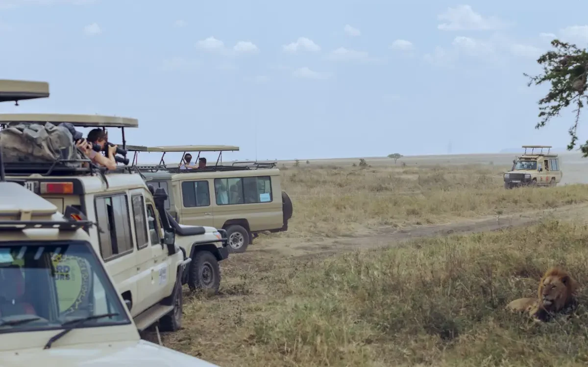 serengeti-horse-riding-safari-adventure-1